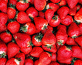 Aardbei