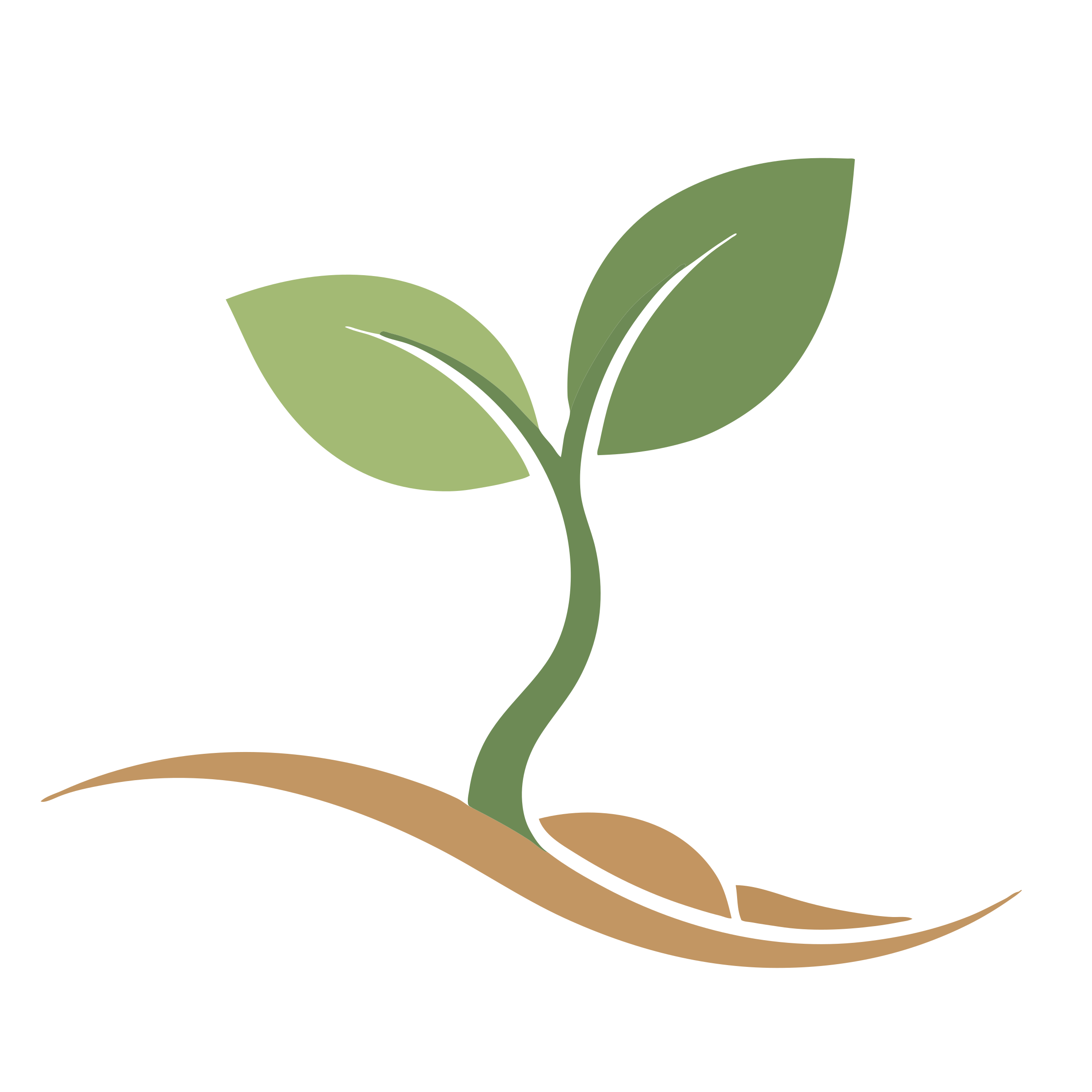 Seeds To Grow