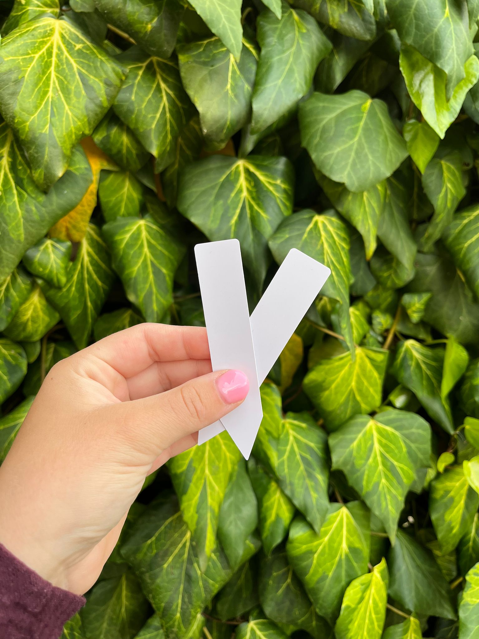 Plantenlabel S