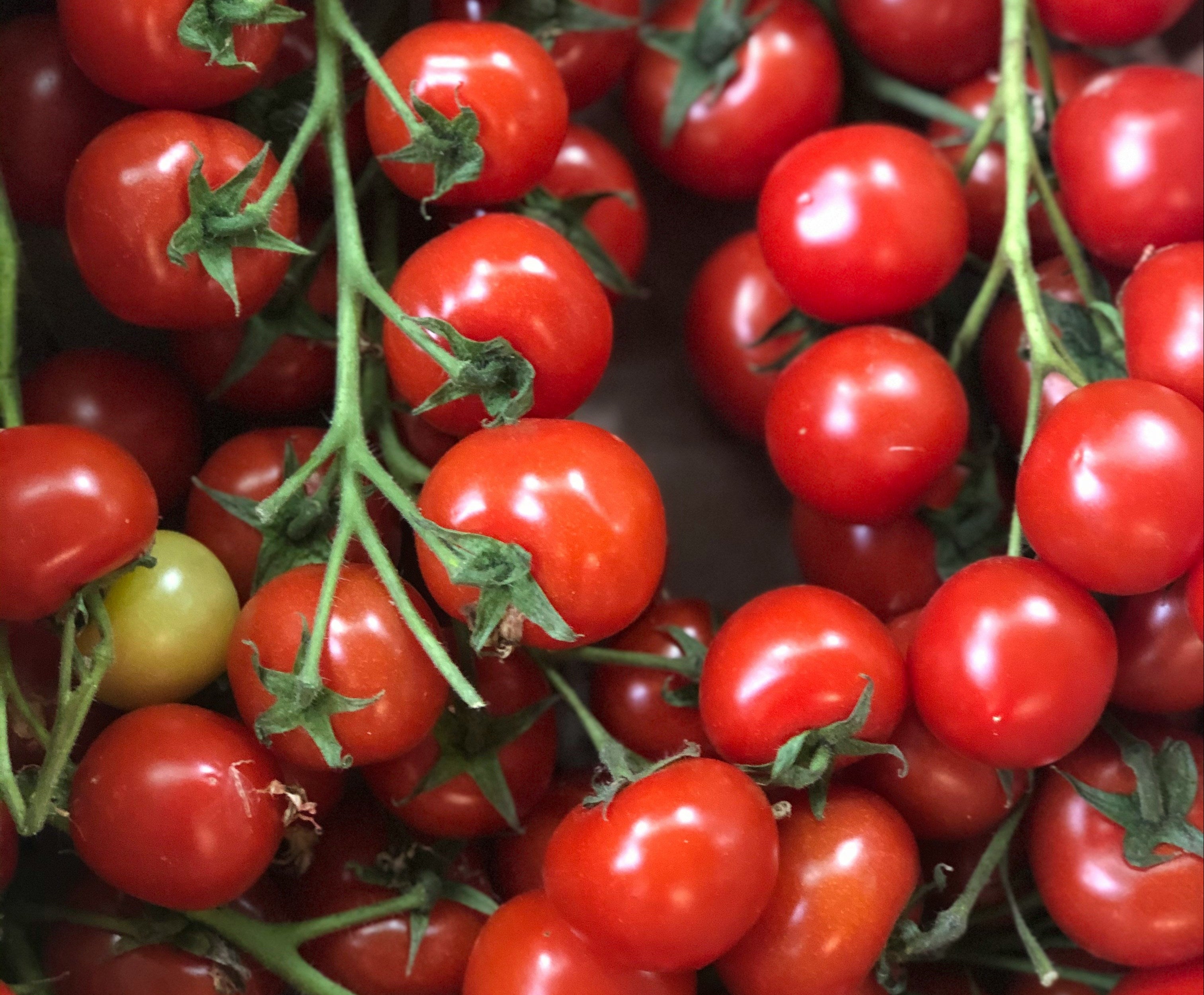 Cherry tomaat