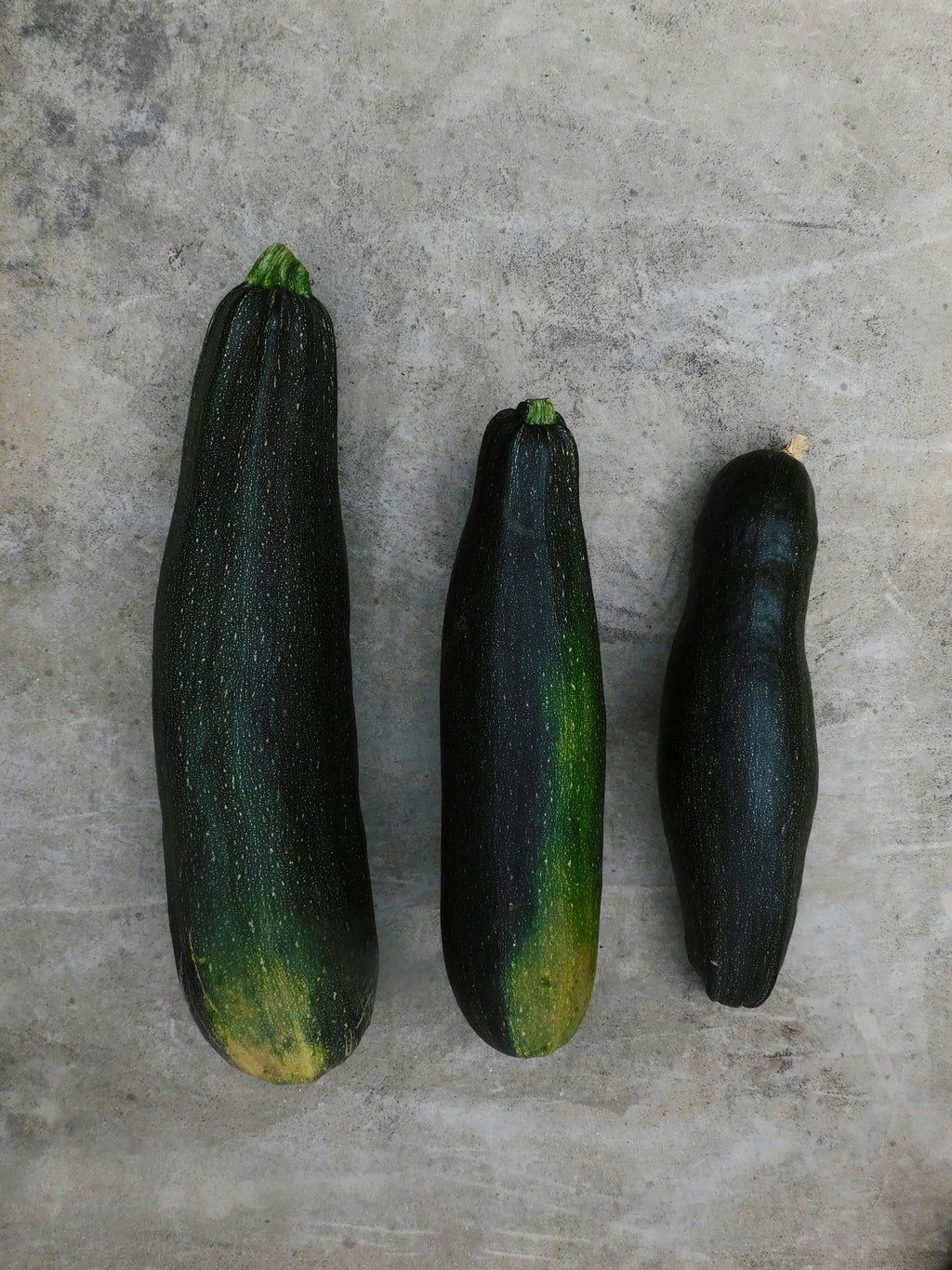 Courgette